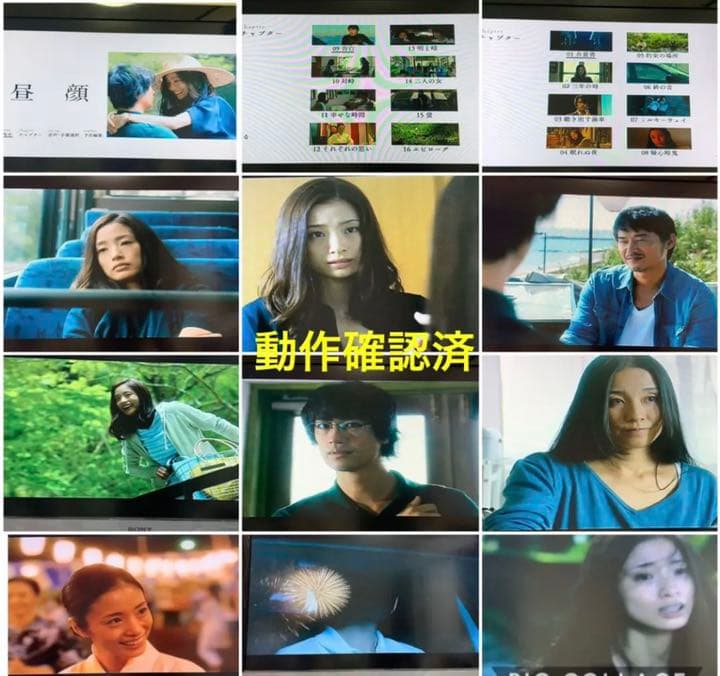 【送料無料】昼顔 TVシリーズ & 劇場版 DVD 全巻セット 上戸彩 斎藤工