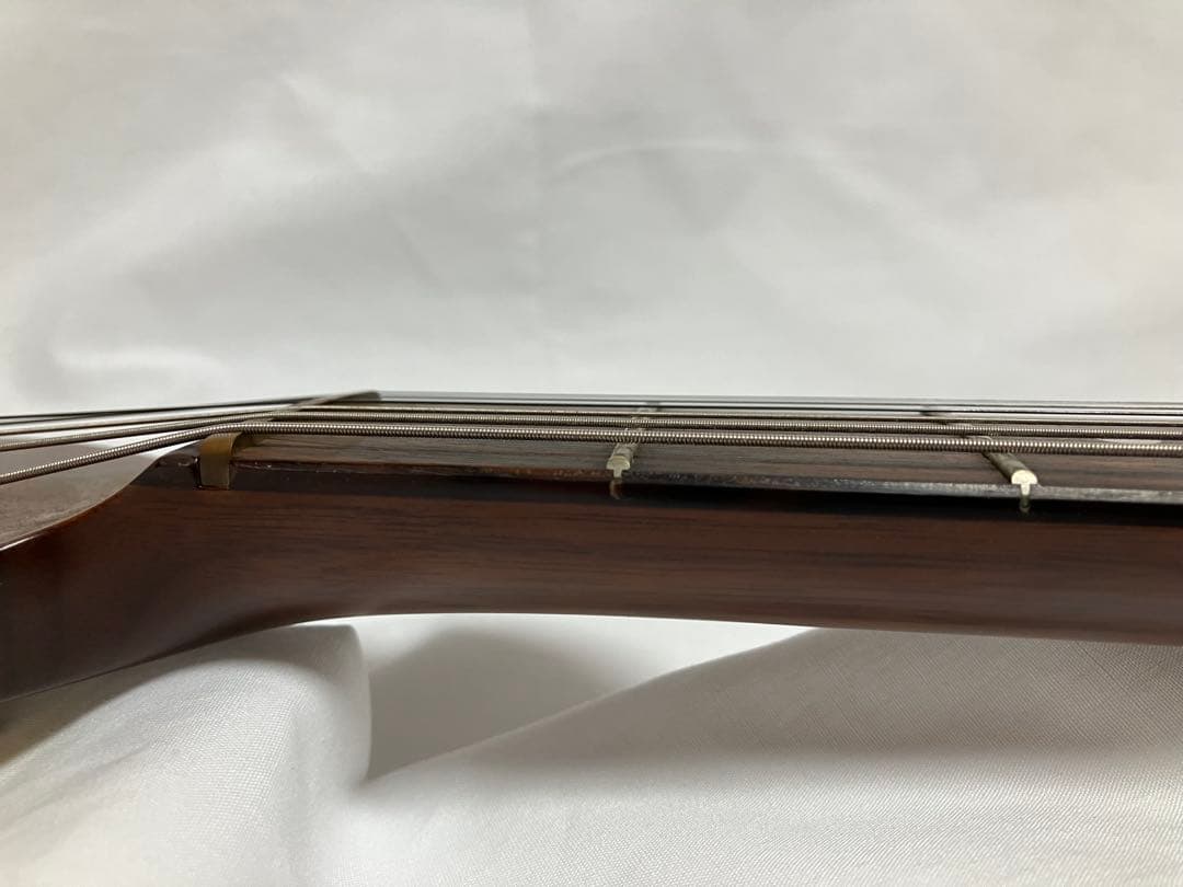 Bill Lawrence ビルローレンス　ウォルナット　エレキギター　ケース付