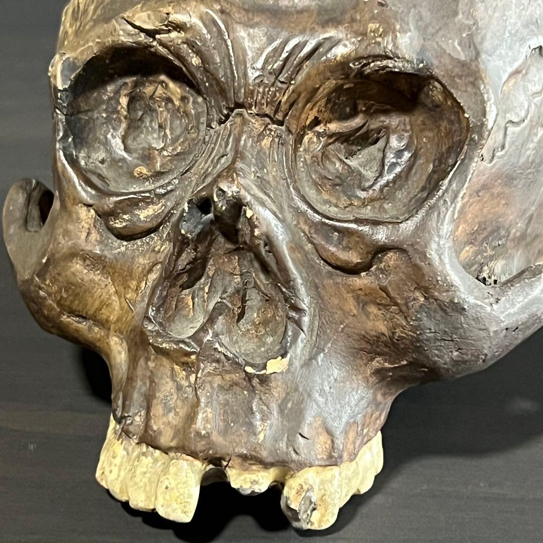 ビンテージ スカル 髑髏 陶磁器 野晒し しゃれこうべ ドクロ 置物 年代物