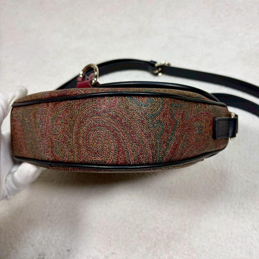 【未使用級✨】エトロ ショルダー　タッセル ペイズリー柄 レザー PVC ミニ