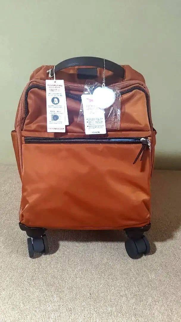 カナナ プロジェクト キャリーバッグ 静音キャスター搭載　24L　機内持ち込み