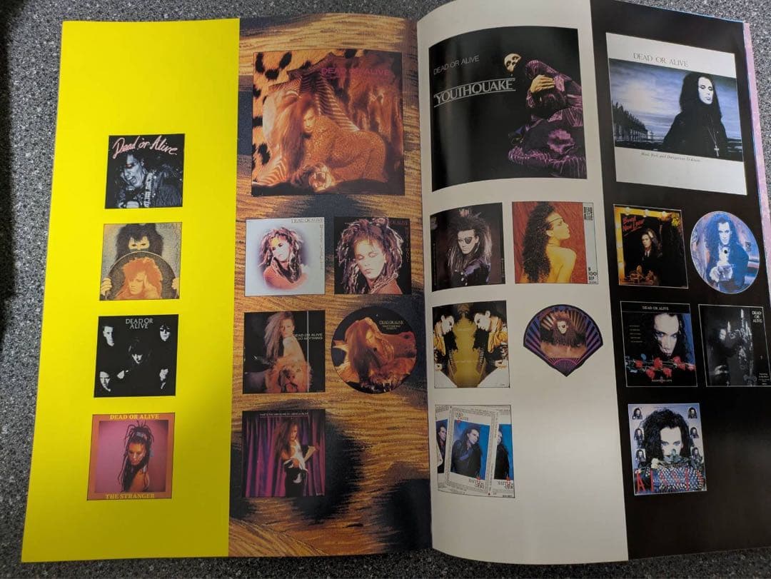 邦楽 DEAD OR ALIVE NUDE LIVE 1989