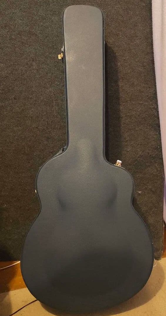 アヌエヌエ　aNueNue aNN-L200E 杉田健司　新品同様　オール単板