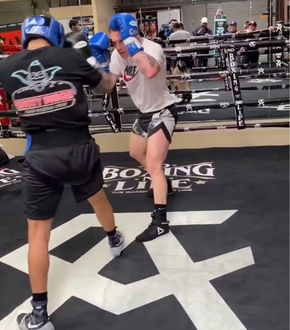 【美品】リーボック　ボクシングシューズ　【26㎝】　廃盤品　希少