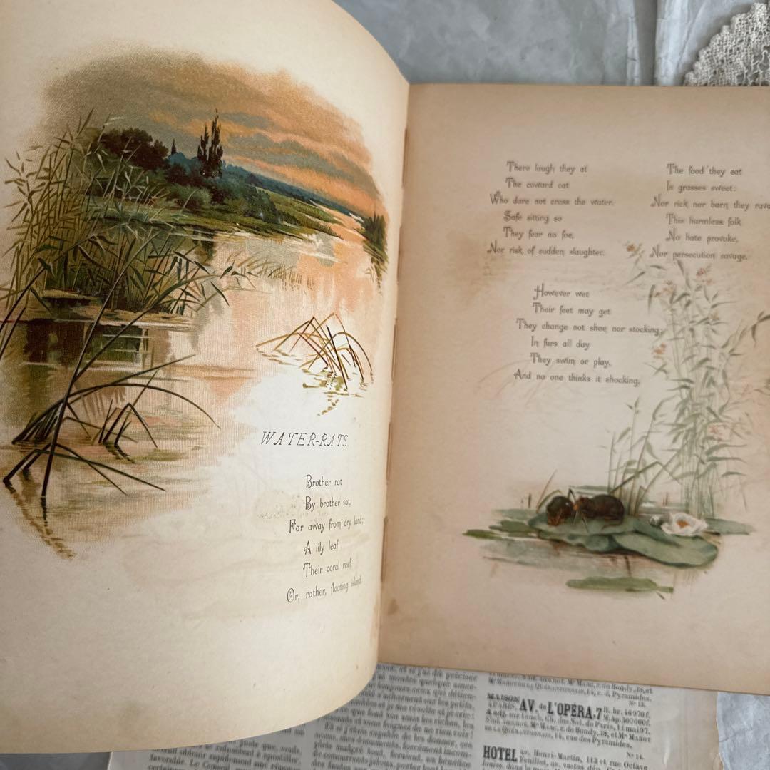 状態良好1890年アンティーク絵本ヴィクトリアン洋書　古書ジャンクジャーナル