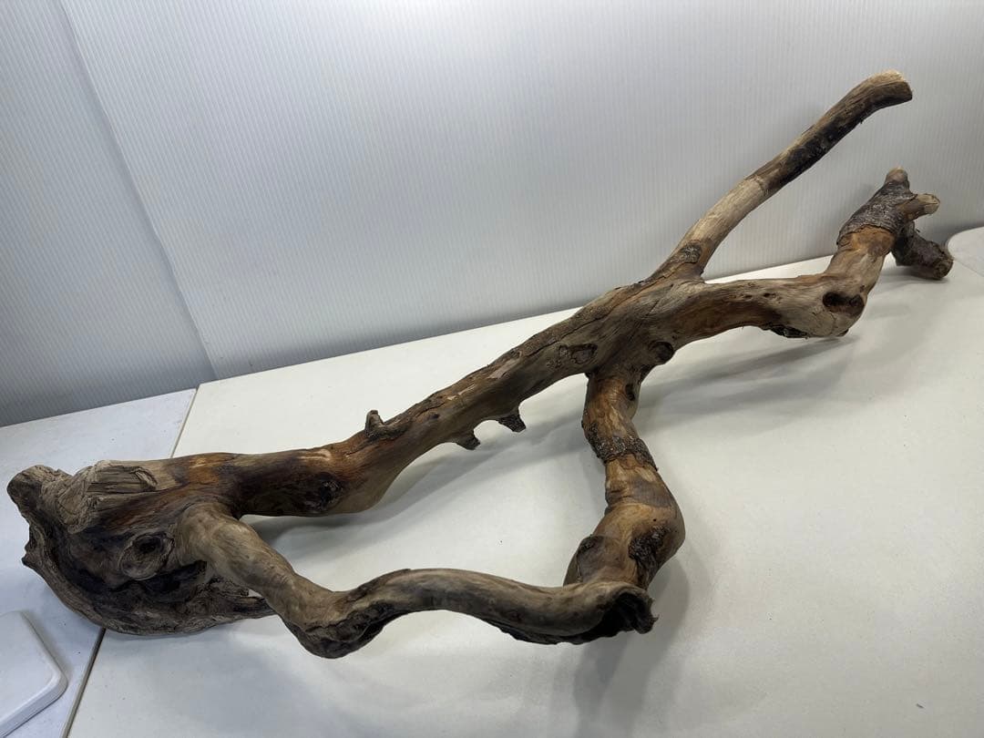 k36特大流木 アク抜き済み 爬虫類シェルター レイアウト用 登り木 インテリア