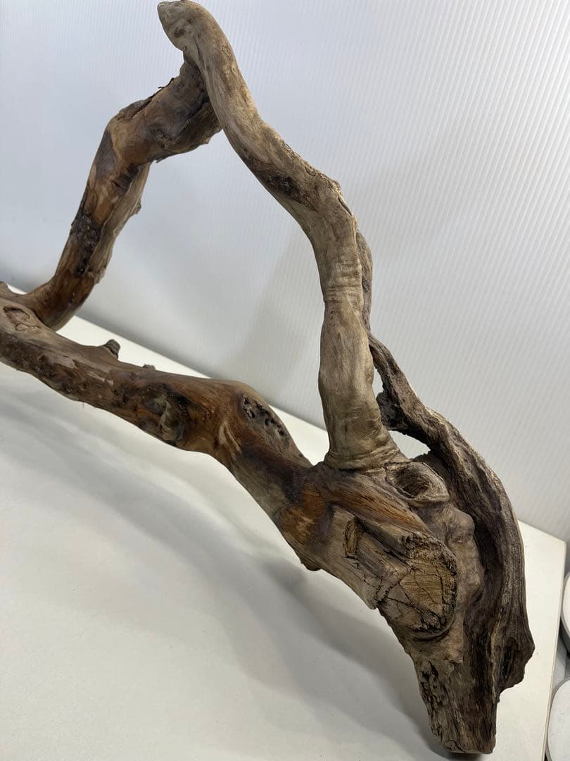 k36特大流木 アク抜き済み 爬虫類シェルター レイアウト用 登り木 インテリア