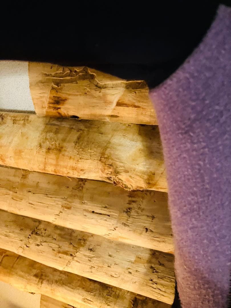 ★２回のみ着用★BILLABONG レディースセミドライM