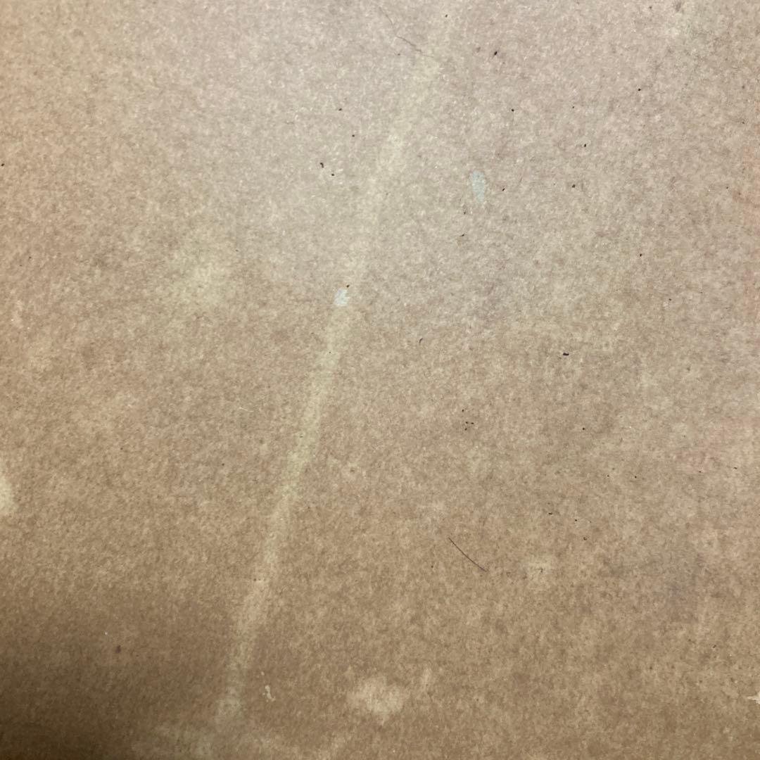 タミヤ 1/10 RC トヨタハイラックス スペアボディ