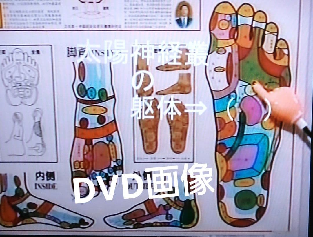 A5：足つぼ 学ぶ（DVD足部反射療法2級上編）+テキスト+チャートset