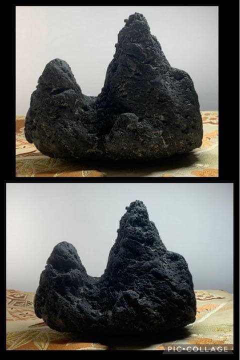 3933 加茂川巣立石 平成与十郎石 桐箱付き 有沢一幸氏作