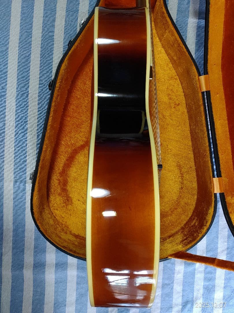 The Loarのハードケース付き1ハムフルアコLH-650vs使用感少な目美品