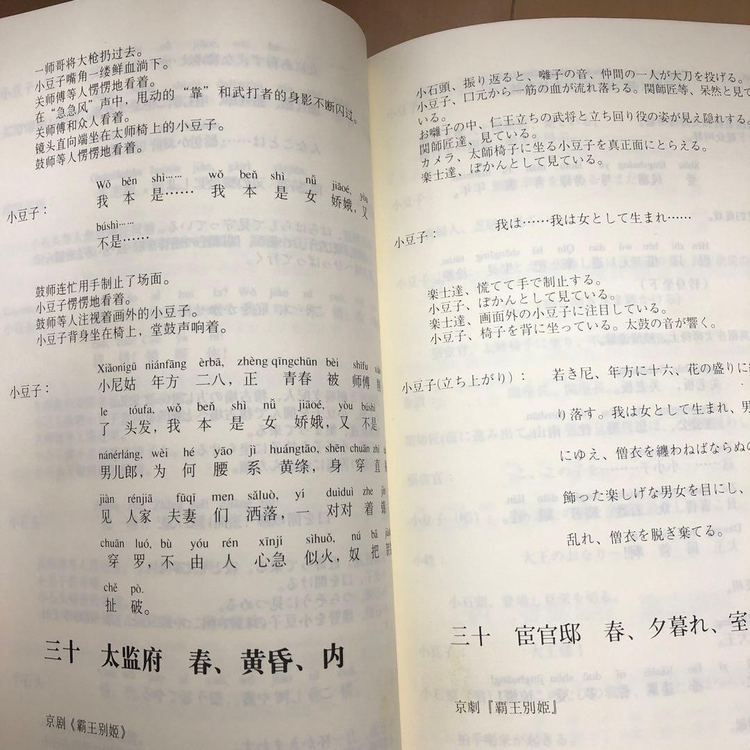 中華電影的中国語　さらば、わが愛　覇王別姫