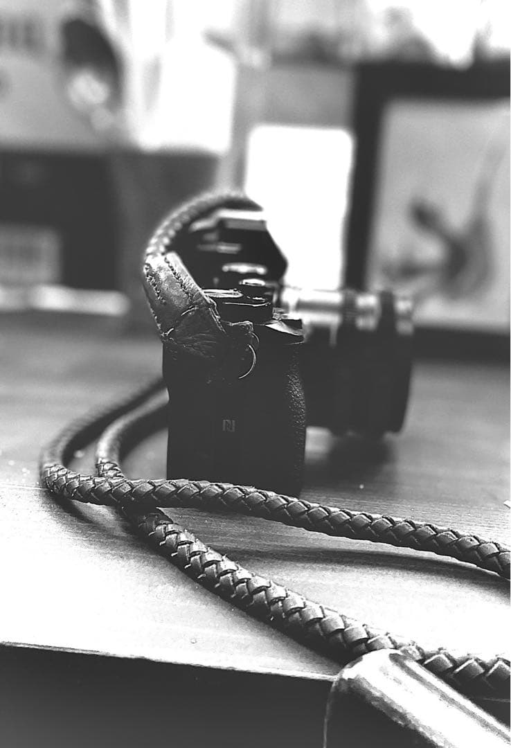 シグマ45mm F2.8DG DNレンズ