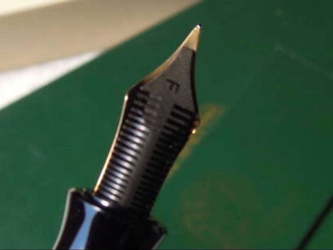 アウロラ ダンテ・アリギエリ F nib　イタリア国内仕様