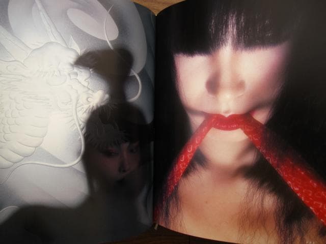 光と鬼　横須賀功光の写真魔術　初版　帯付き　山口小夜子