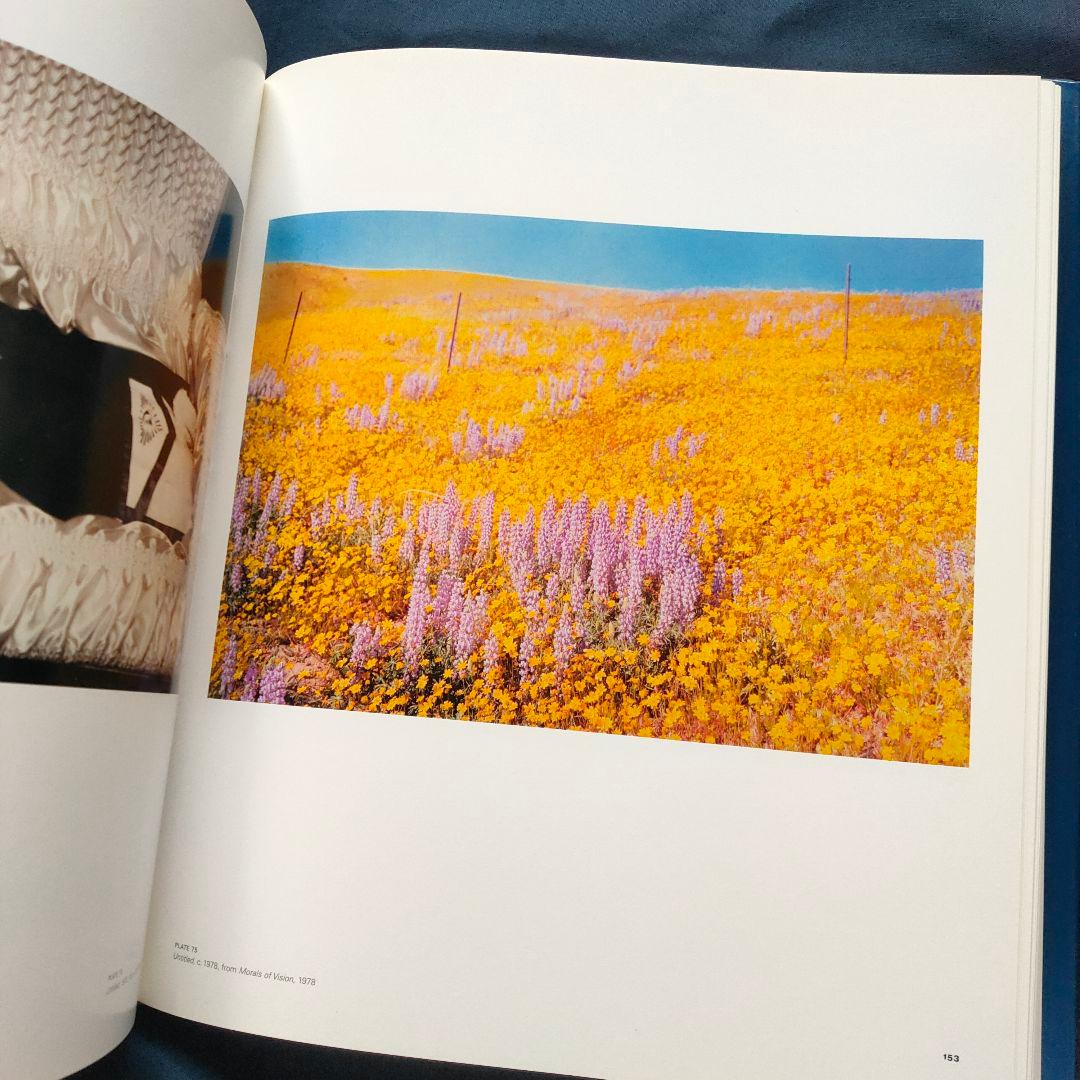 William Eggleston Democratic Camera 洋書