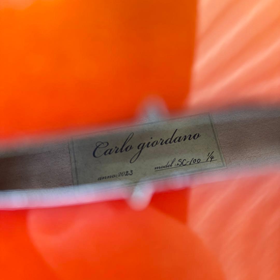激安早い者勝ち✨ チェロ　Carlo Giordano SC-100