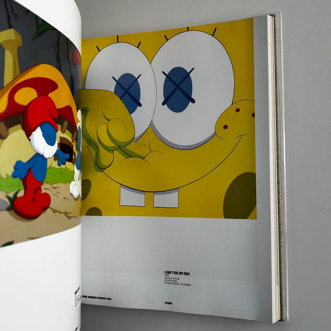 美品 KAWS アートブック Skira Rizzoli Book カウズ