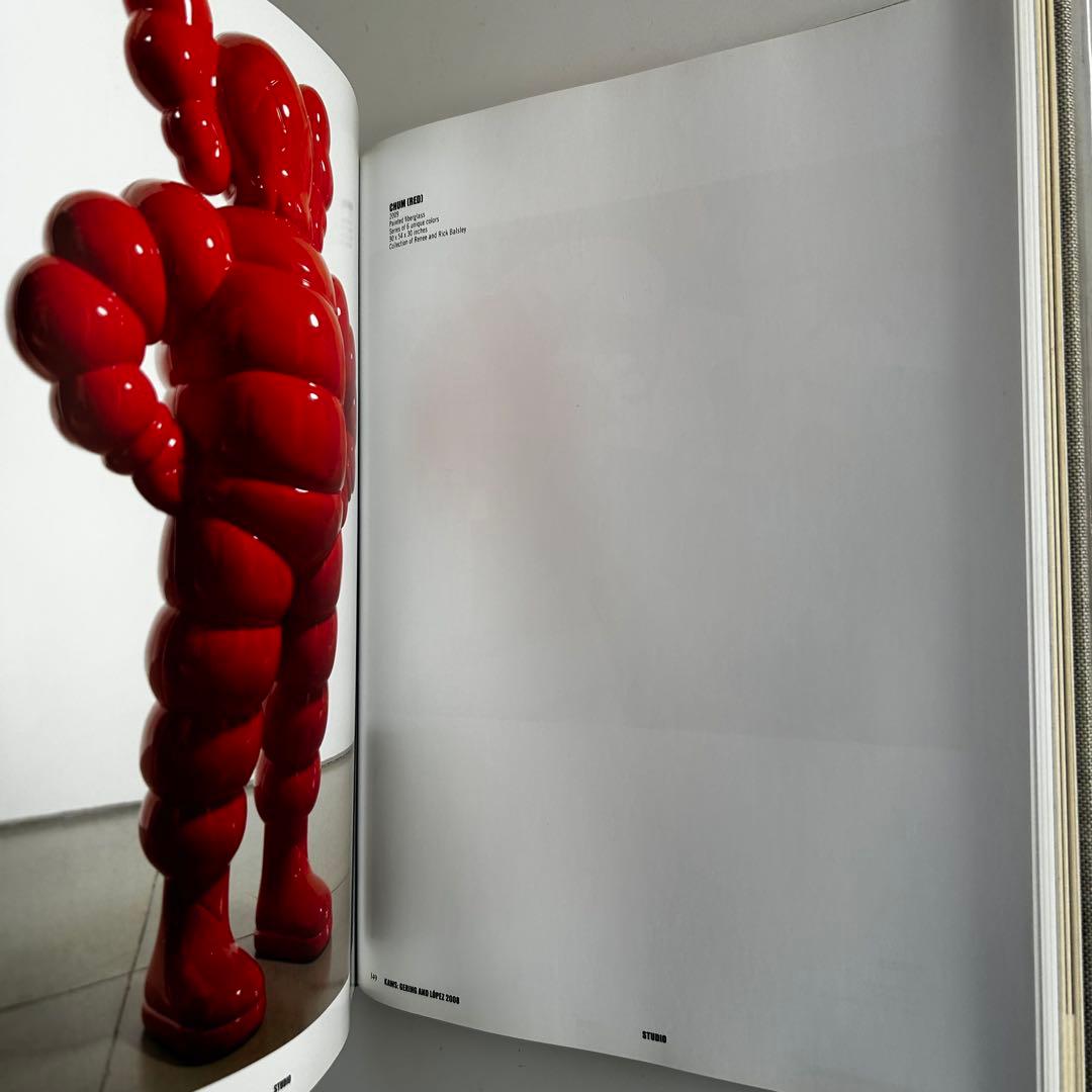 美品 KAWS アートブック Skira Rizzoli Book カウズ