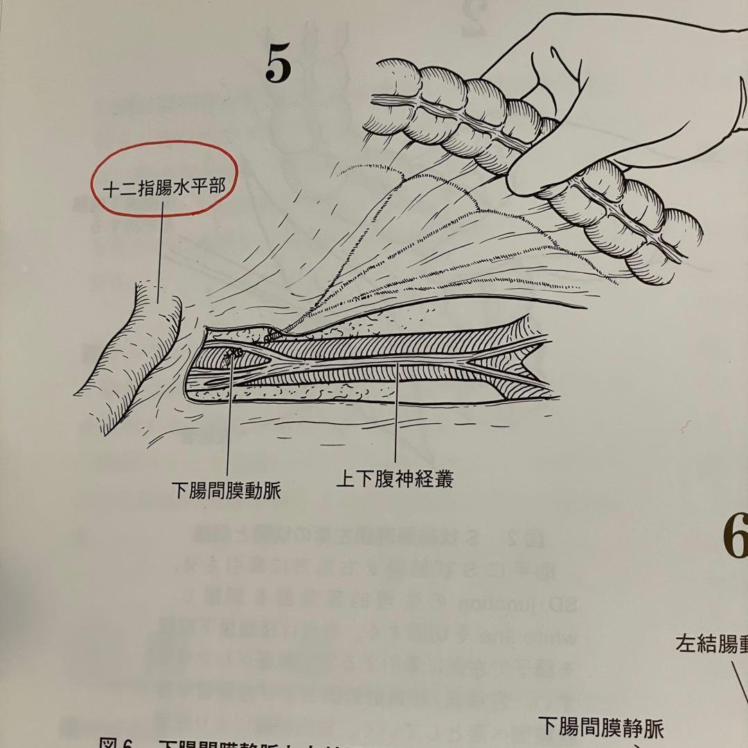 消化器外科　消化器外科専門医であるために必要な標準手術手技アトラス　2002年