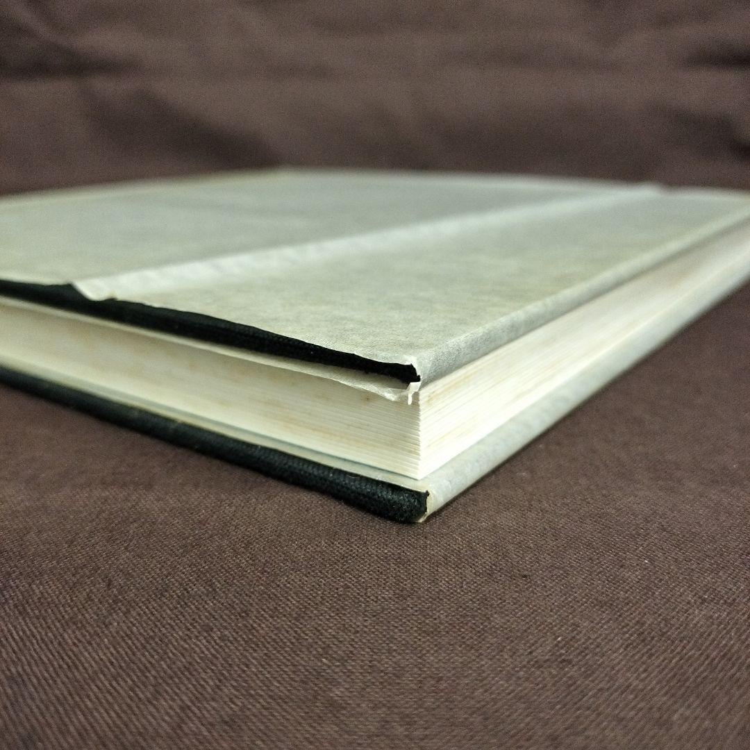 澁澤龍彦　悪魔の中世　西洋美術史の暗黒