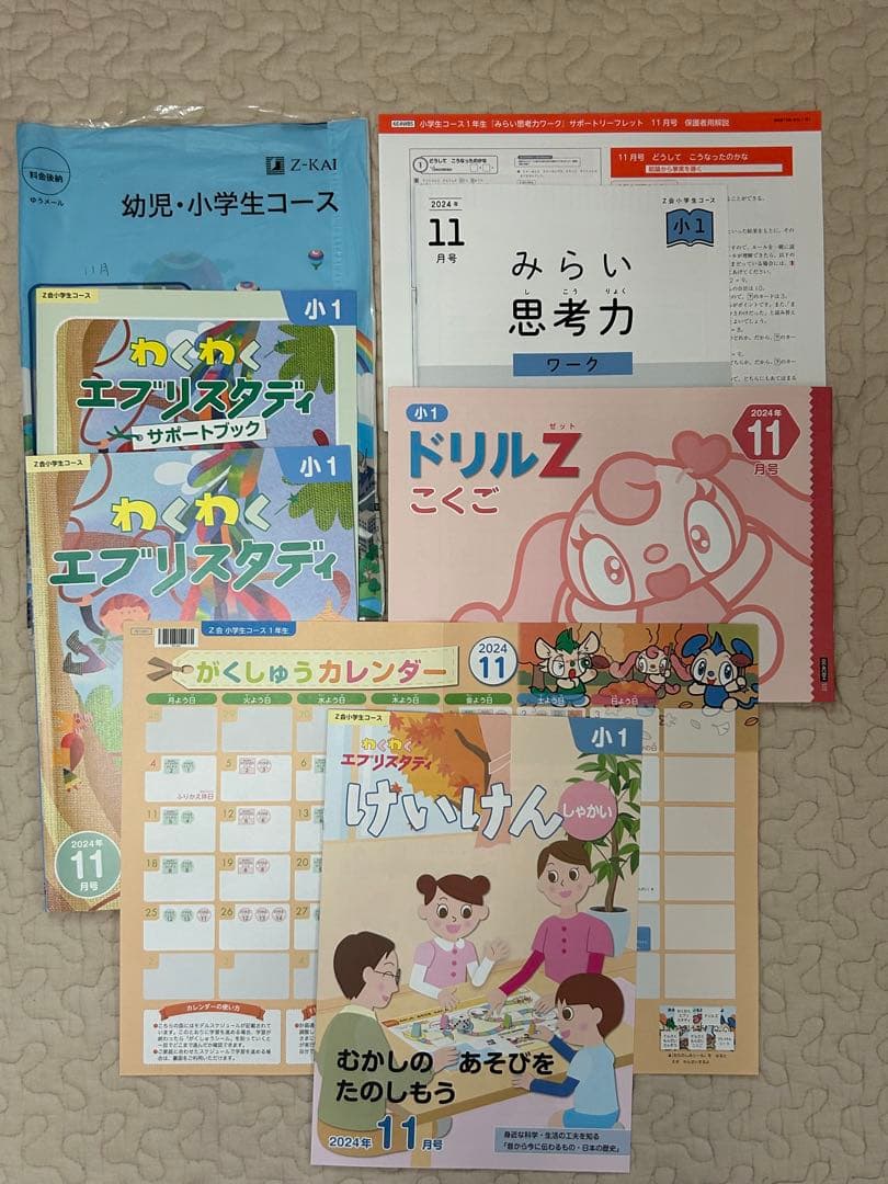 新品同様 最新　Z会 小学1年生 2024年度 1年分　みらい思考力あり