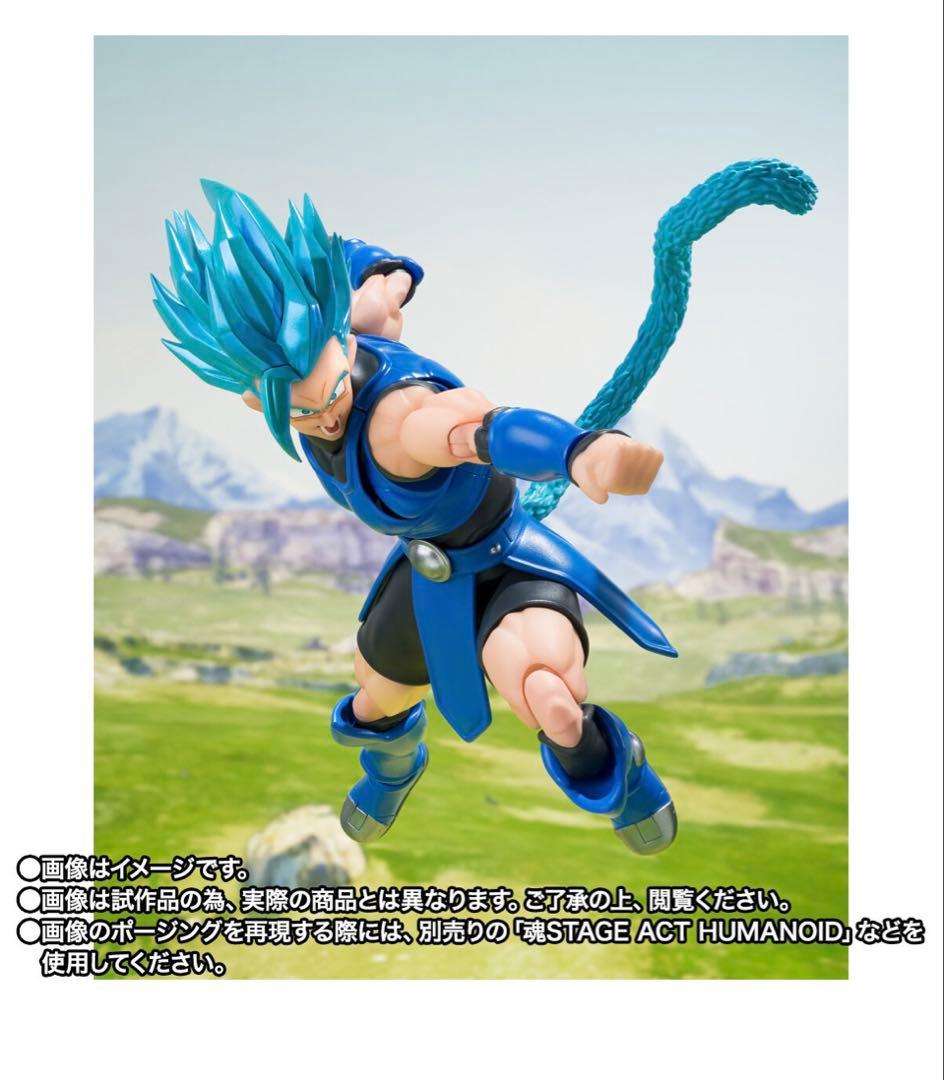 S.H.Figuarts シャロット 新品未開封