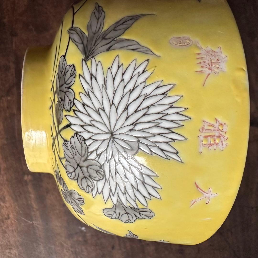 希少　彩色　染付　中国美術　清朝期　粉彩　骨董　古陶磁　陶磁器　唐物