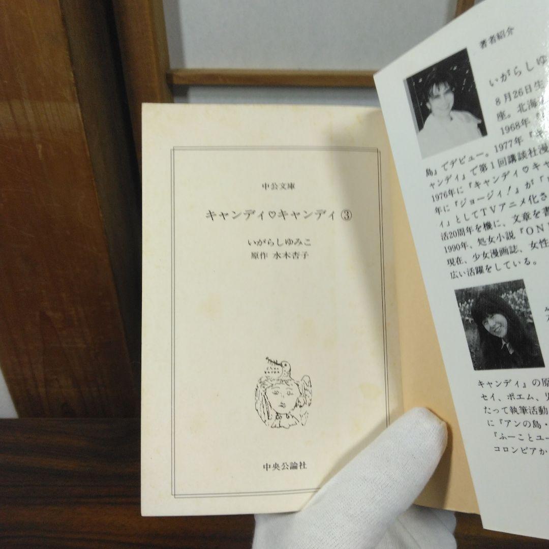 キャンディ・キャンディ 全6巻文庫セット　中公文庫コミック版