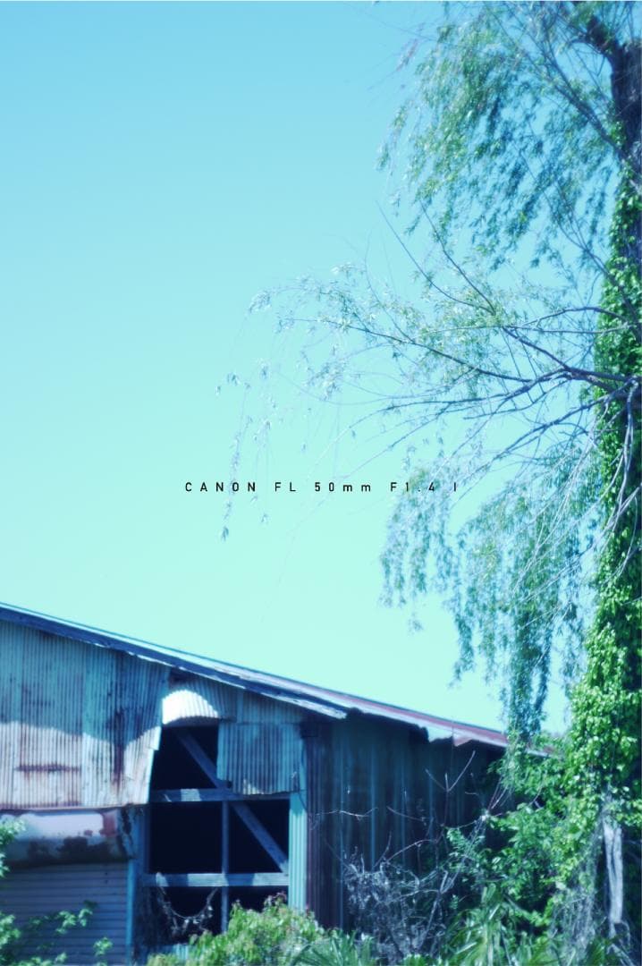 ★美品★ キャノン CANON FL 50mm F1.4 I 単焦点レンズ