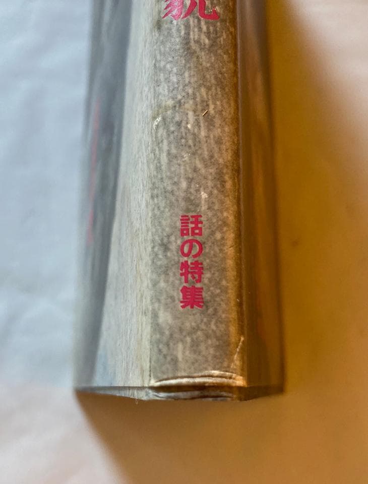 写真集 人間 赤尾敏/宮嶋茂樹