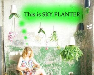 希少 廃盤品 陶器製 SKY PLANTER /スカイプランターbotanize