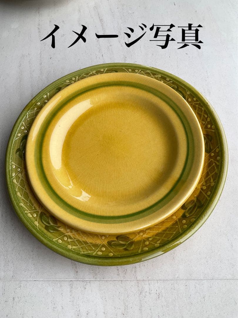 TERRE E PROVENCE フランス製　ハンドペインティング　お皿　7枚