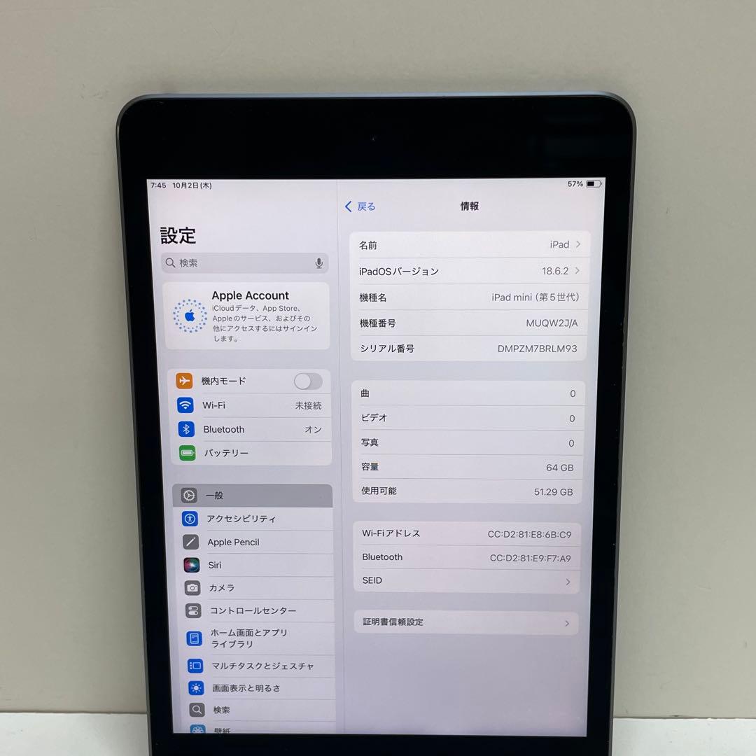 iPad Mini 第5世代 64GB Wi-Fi 84%