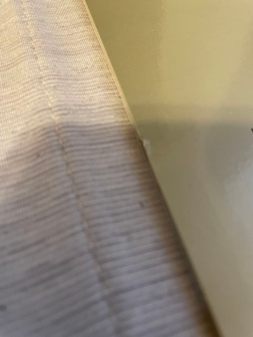 Electric Wizard 前身バンド thy grief eternal