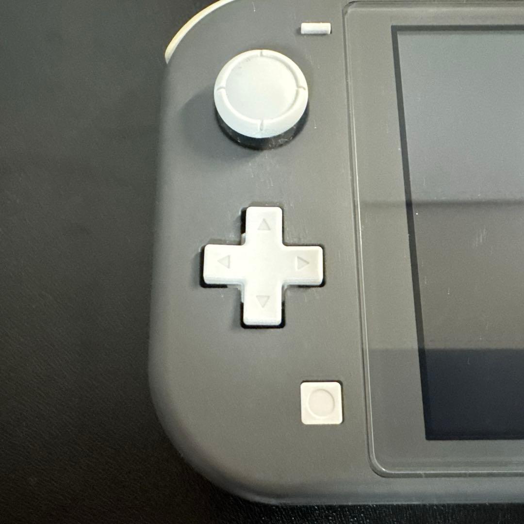 Nintendo Switch ライト　グレー　充電器付き