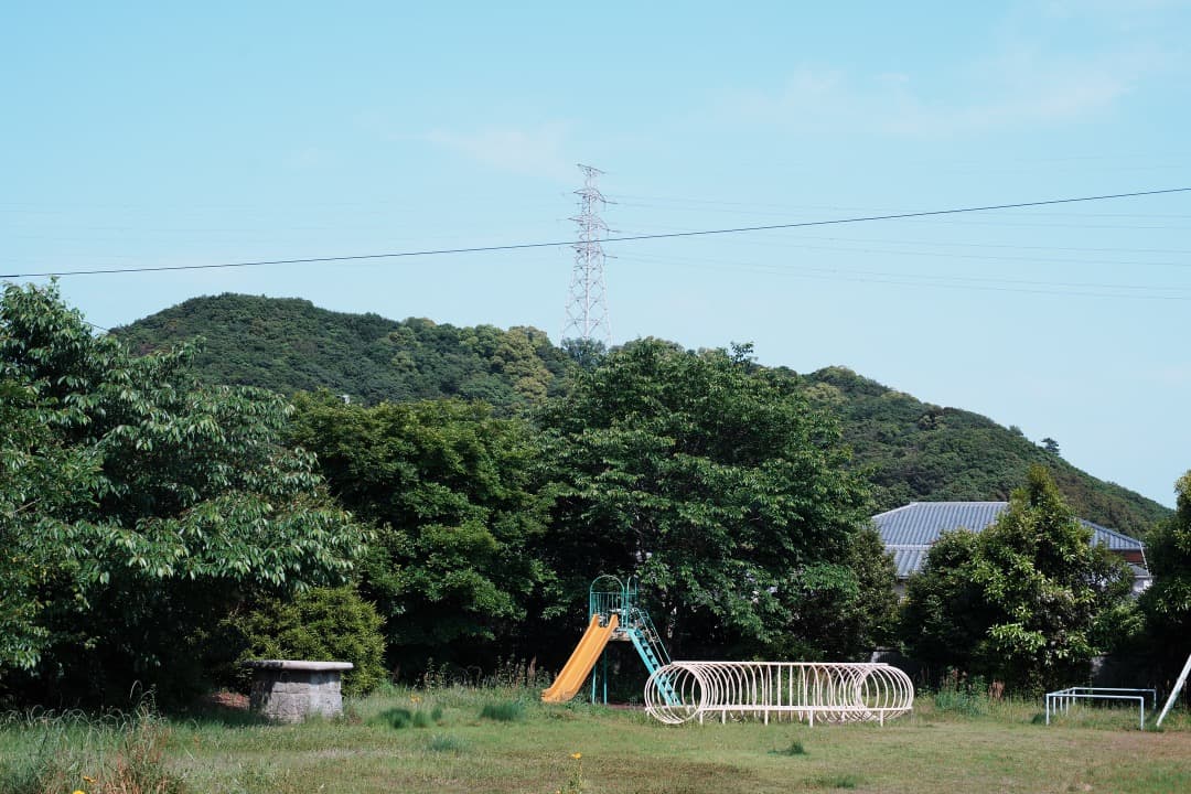 【極美品】Carl Zeiss Planar 50mm F1.4 MMJ 157