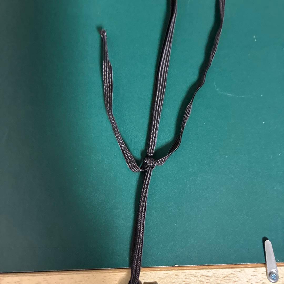 ヴィルヘルム ・ハンマースホイ　収集家　複製画