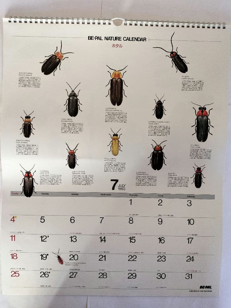 BE-PAL ビーパル カレンダー 新品未使用 1993年 ヴィンテージ