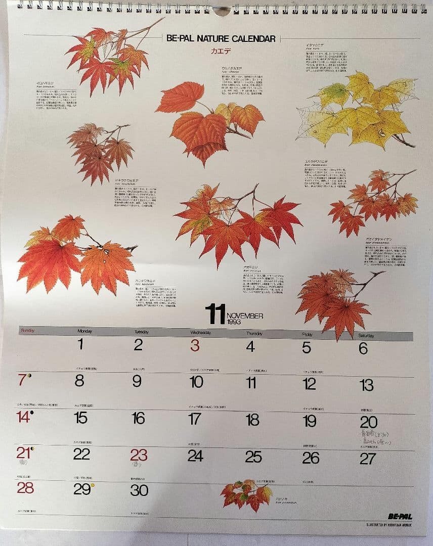 BE-PAL ビーパル カレンダー 新品未使用 1993年 ヴィンテージ