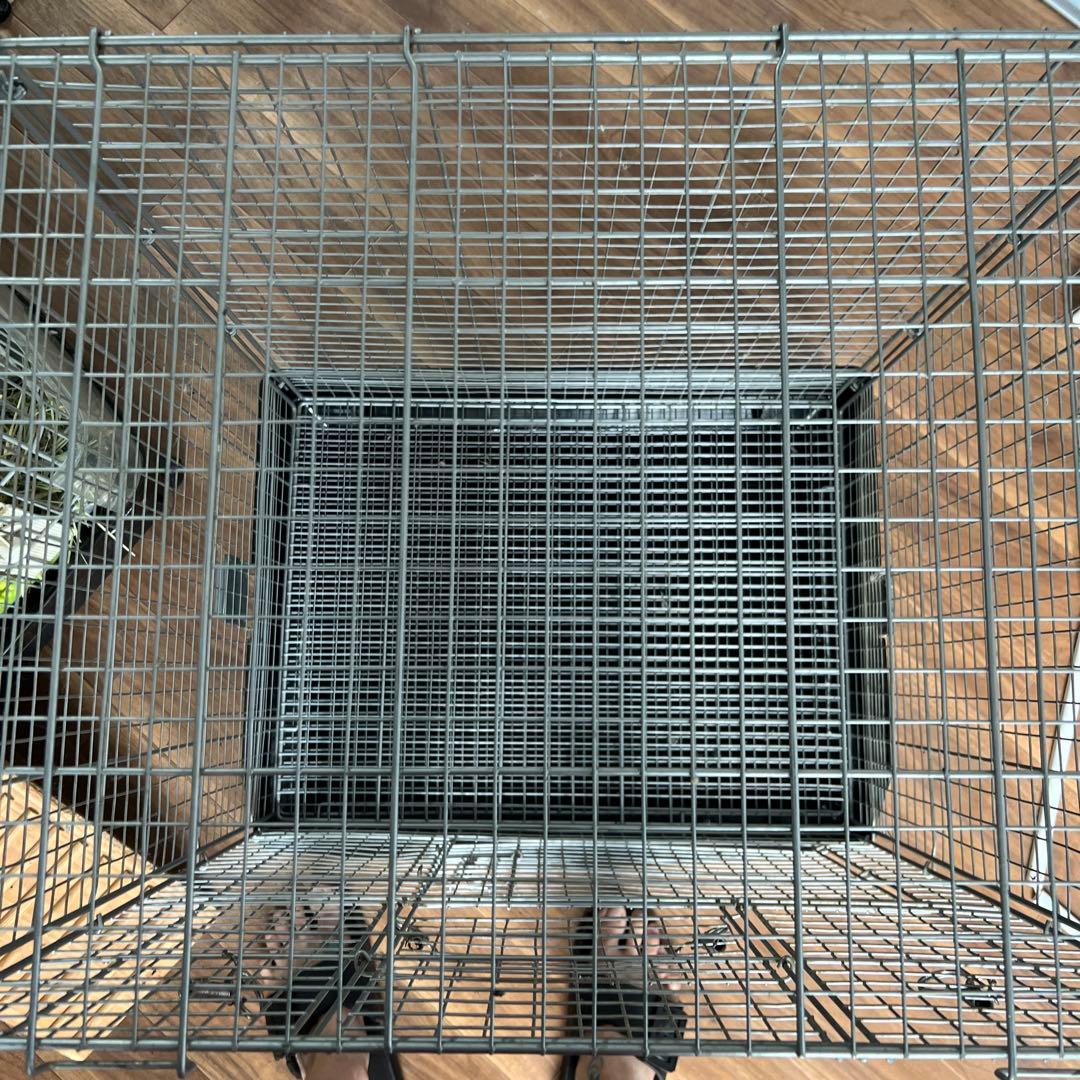 SANKO C26 イージーホーム60ハイメッシュ ブラック 未使用品タイヤ無