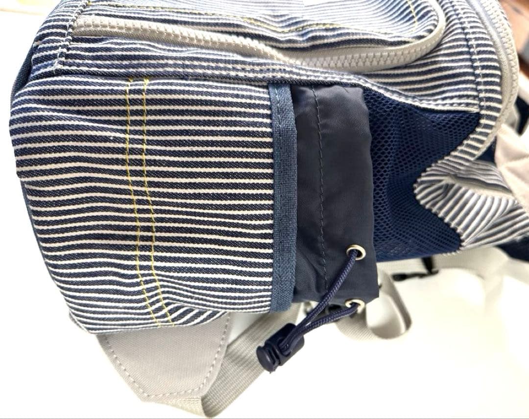 Lee 犬 リュック キャリーバッグ