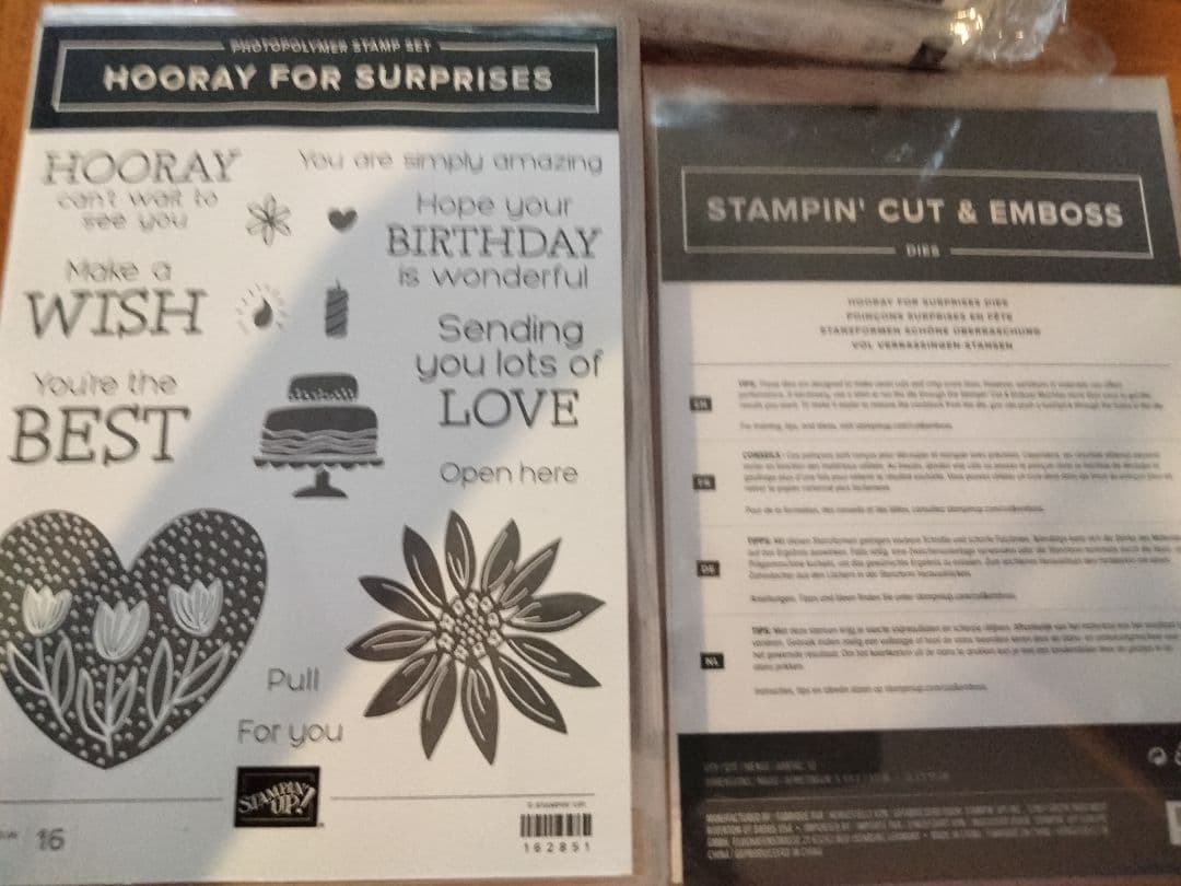 １点限り♡未使用ペリペリできちゃうスタンプ＆ダイ　スタンピンアップ