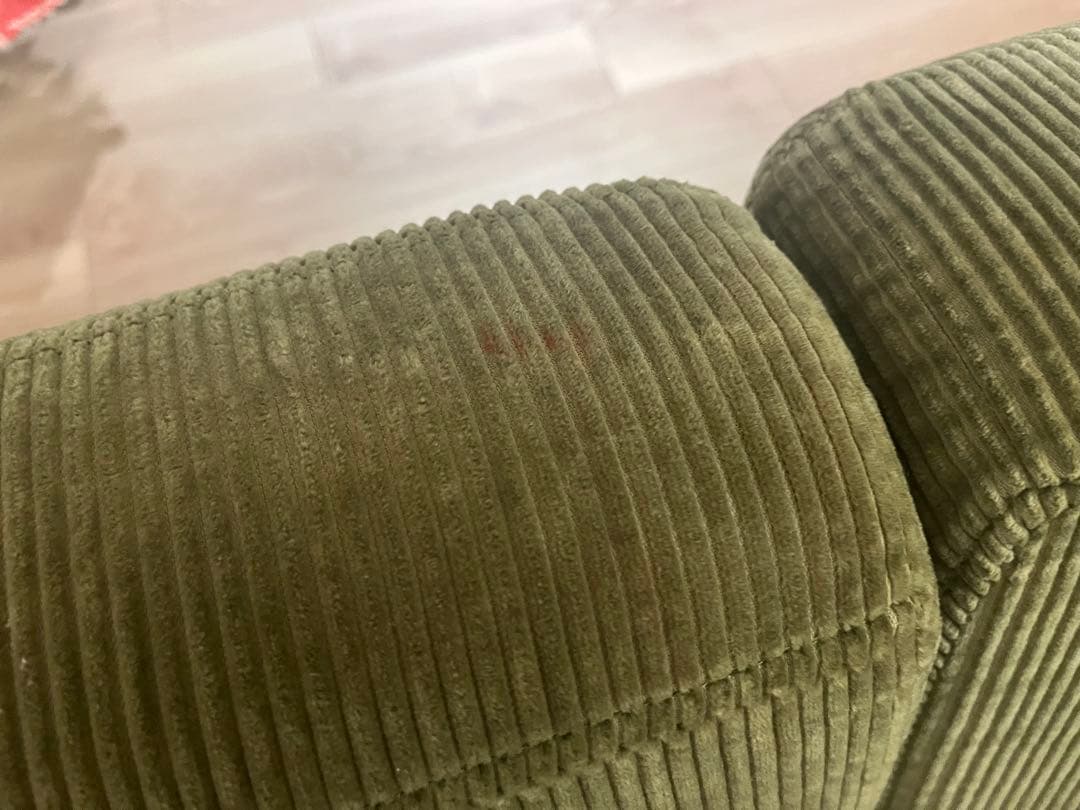 限定値引！！ジャーナルスタンダードファニチャー　LYON SOFA 2P