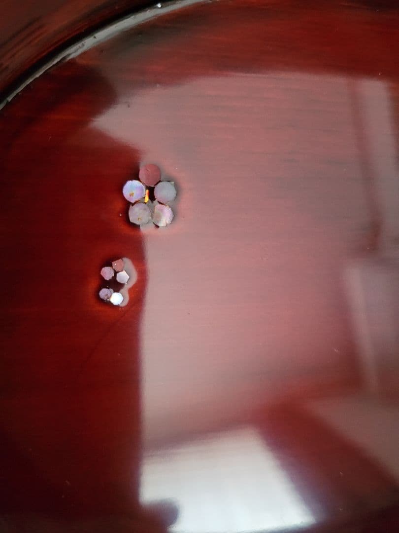 井川メンパ　象嵌入り