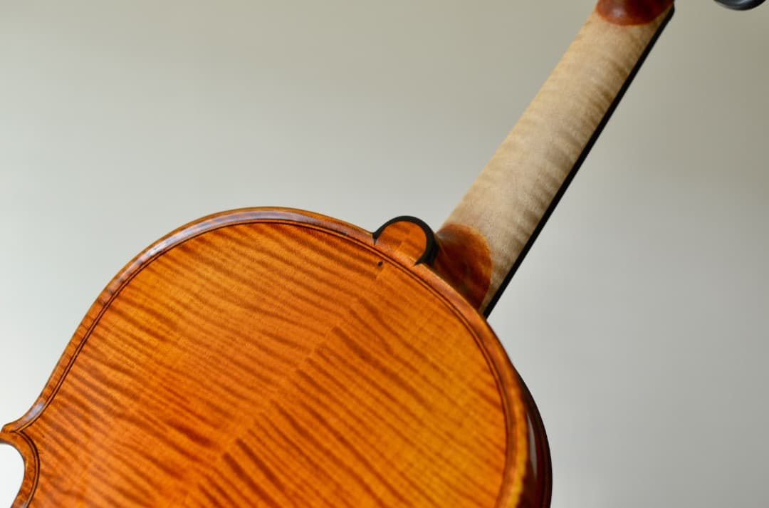 【新品】Gliga Vasile Maestro バイオリン 4/4