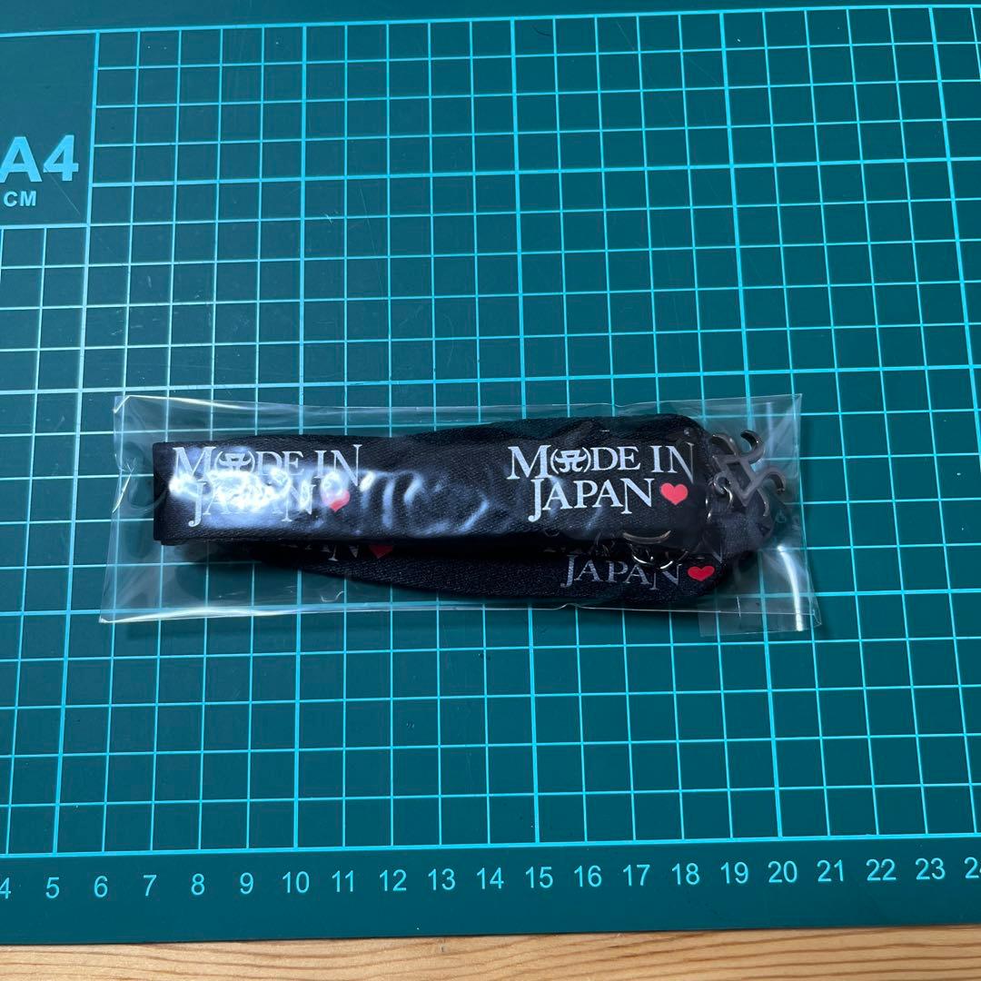 無地のケースでのあさん専用 浜崎あゆみMADE IN JAPAN 2016