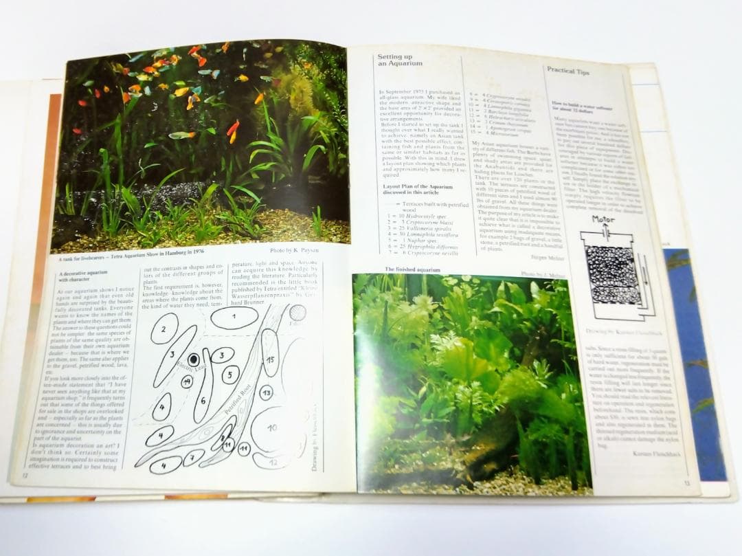 k*i様 希少古書 1972年～ テトラ 世界のアクアリウム情報誌 創刊号 No