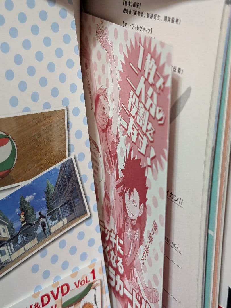 【49冊】ハイキュー!! 1〜45巻 TVアニメチームブック/セイシュンメイカン